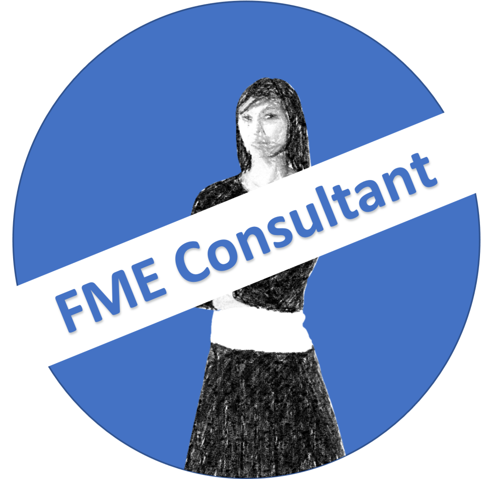 Vacature – FME Consultant
